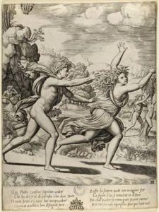 Apollo e Dafne